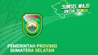 Pemerintah Provinsi Sumatera Selatan